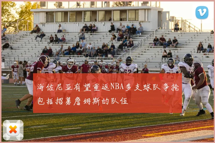 海佐尼亚有望重返NBA多支球队争抢包括招募詹姆斯的队伍